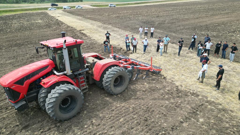 دالا داڭقىن اسىرعان كورمە