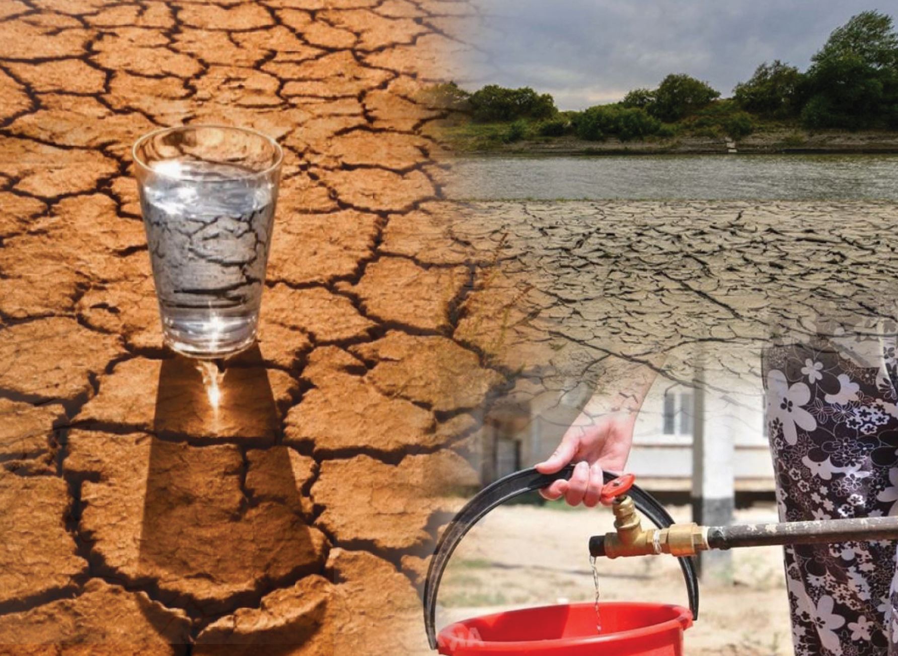 سۋ پارادوكسى