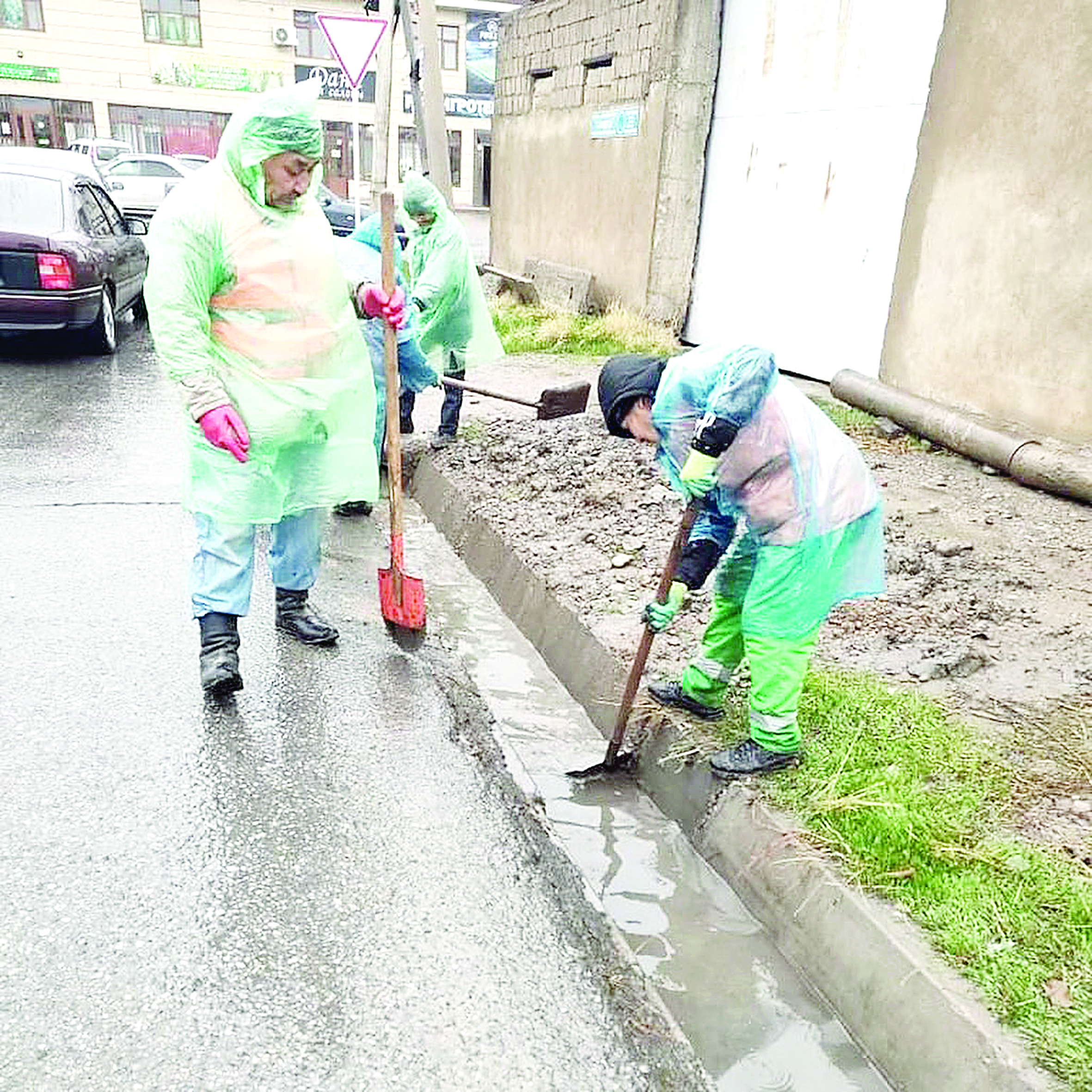 جاسىل جەلەككە ورانعان شاھار