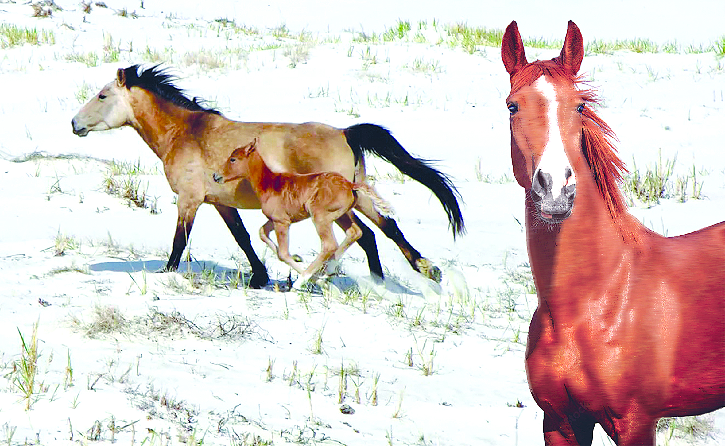 مىنۋگە كەرەك قازانات...