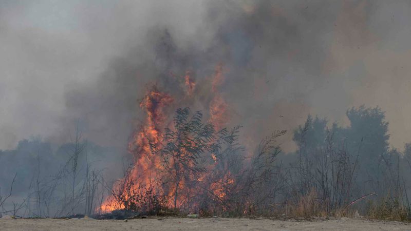 شىعىس قازاقستاننىڭ تاۋلى جەرىندە تۇتانعان ءورت وقشاۋلاندى