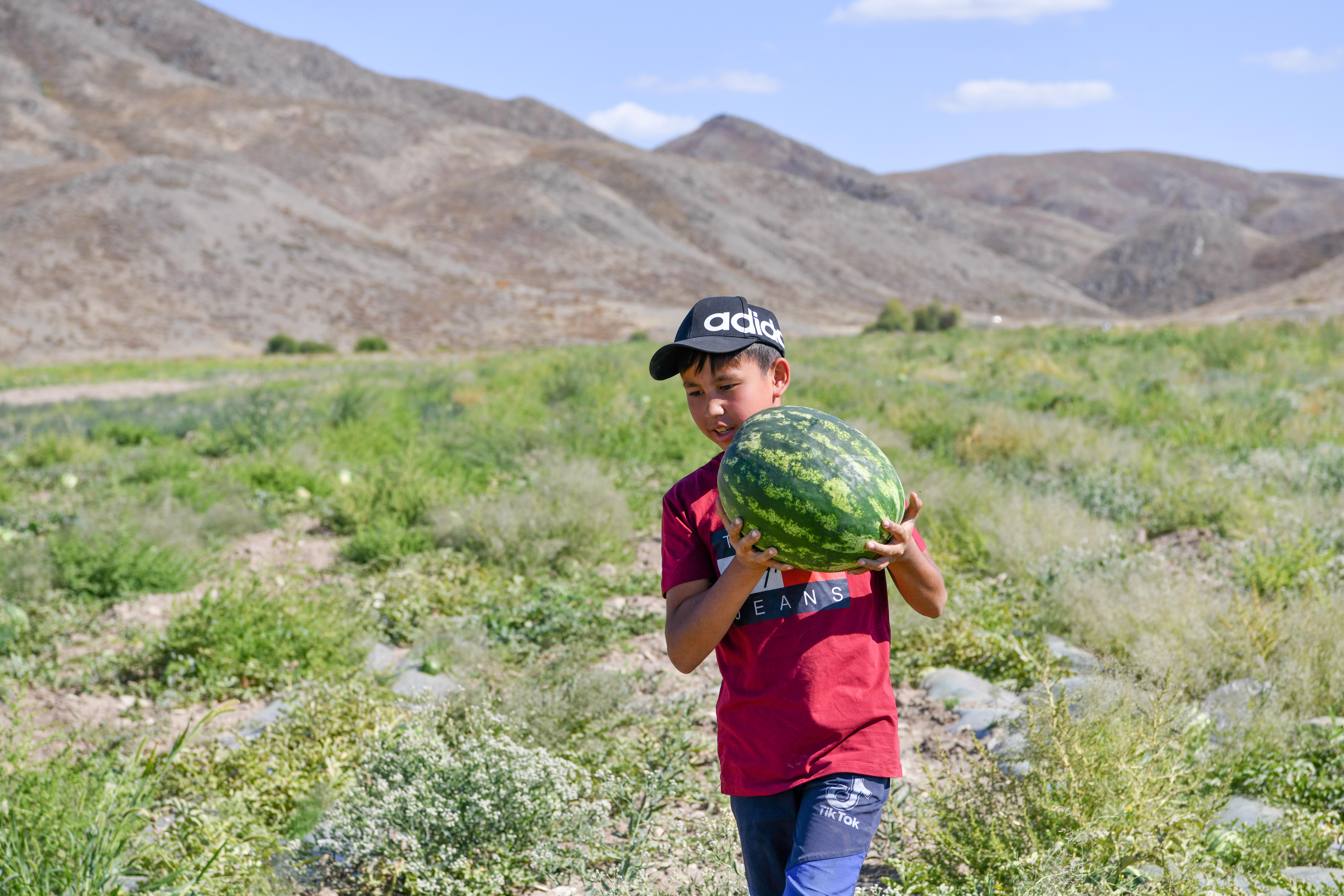 اشىنعان شارۋانىڭ اششى داۋىسى