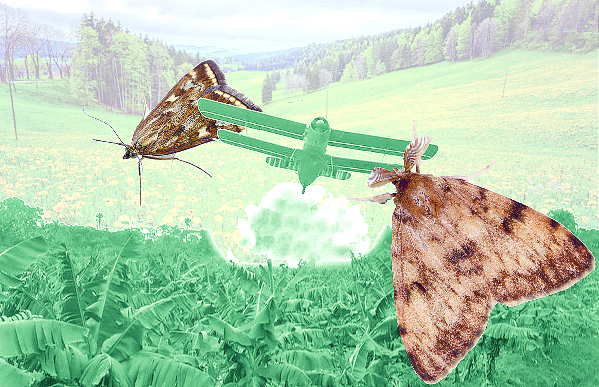 ورمان-توعايدى جالماعان كوبەلەكتەر