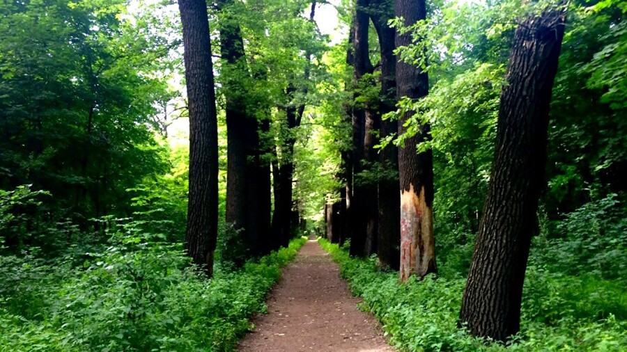 جاسىل قورعا – كەشەندى كوزقاراس