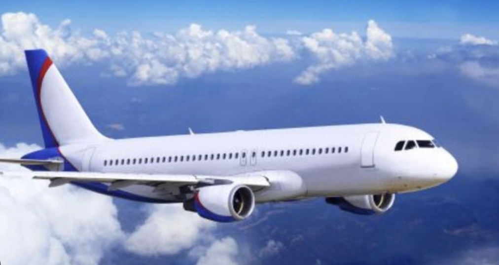 مۇمكىندىگى شەكتەۋلى جاندارعا اۋە بيلەتىنە جەڭىلدىك قاراستىرىلادى