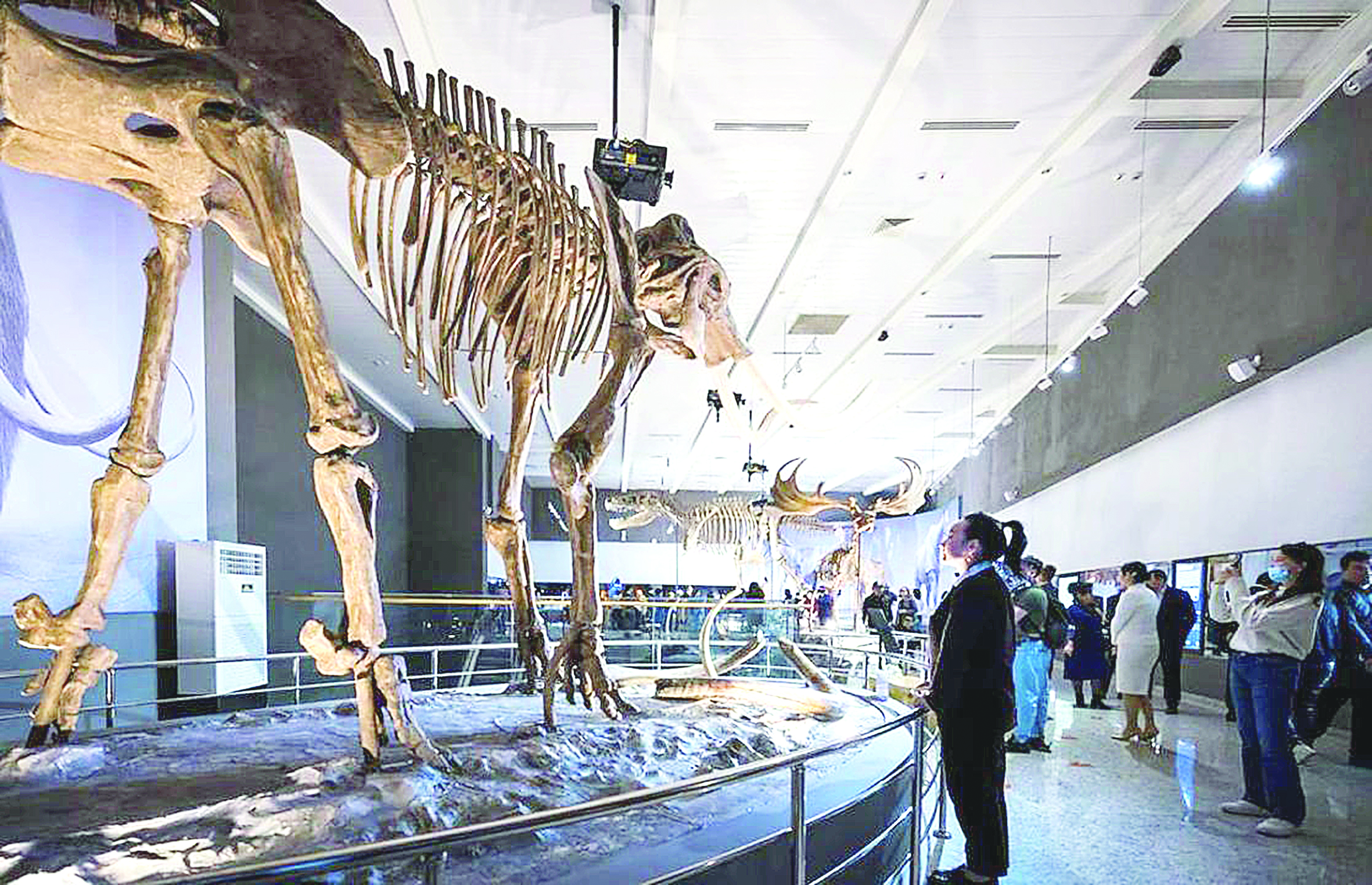 ۇلتتىق مۋزەيدى 310 مىڭ ادام تاماشالاعان