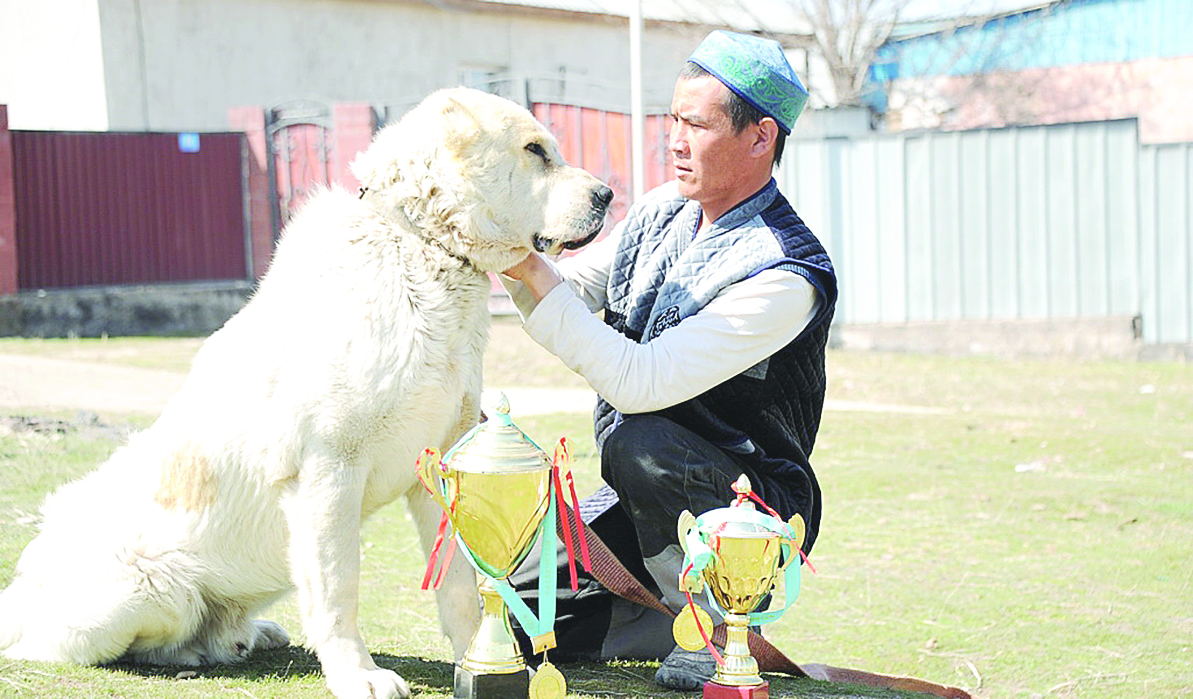قازاقستاندا تازى مەن توبەت كۇنى بەلگىلەندى