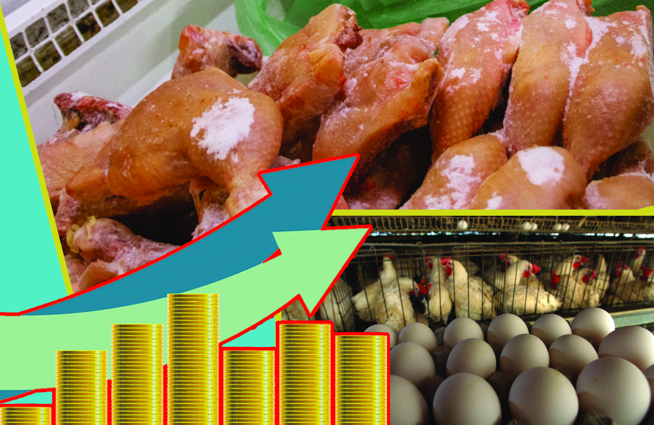 قۇس ەتى نەگە قىمبات؟