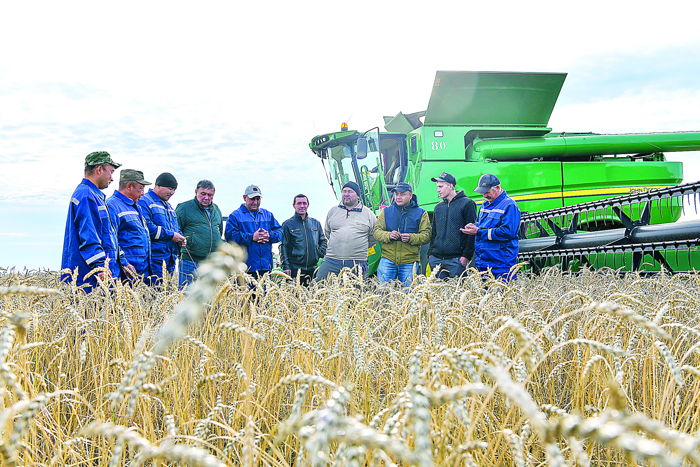 ەگىنگە وراق ءتۇستى