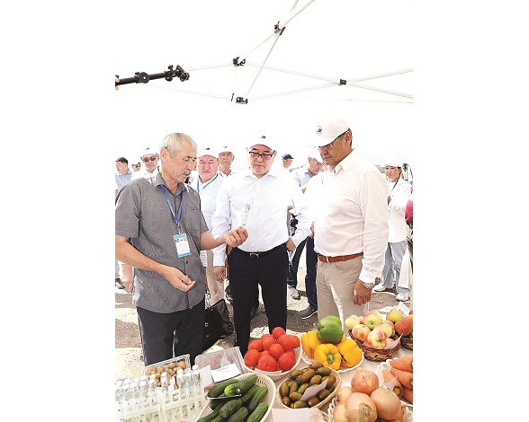 ەل ىرىسى – ەگىندە