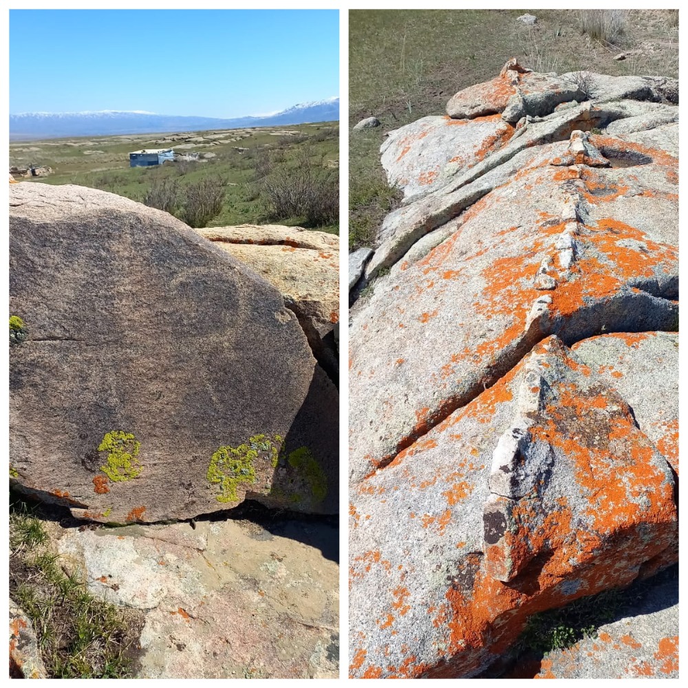 جەتىسۋ قۇندىلىقتارىن باعالاۋعا ىنتا كەرەك