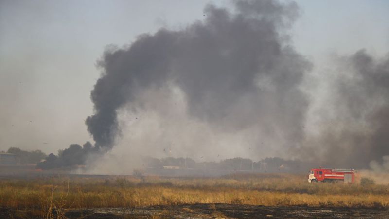  ۇلىتاۋ وبلىسىندا 2,5 گا اۋماقتا ءشوپ ورتەندى