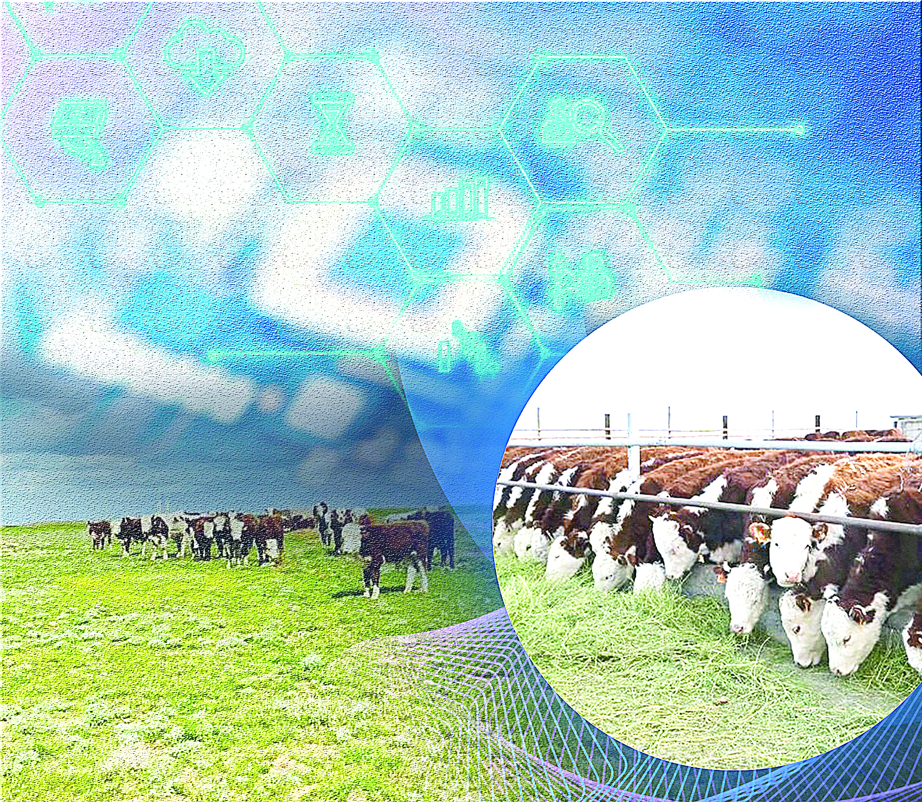 Qazaqaqbas برەندى جانە تسيفرلىق پلاتفورما