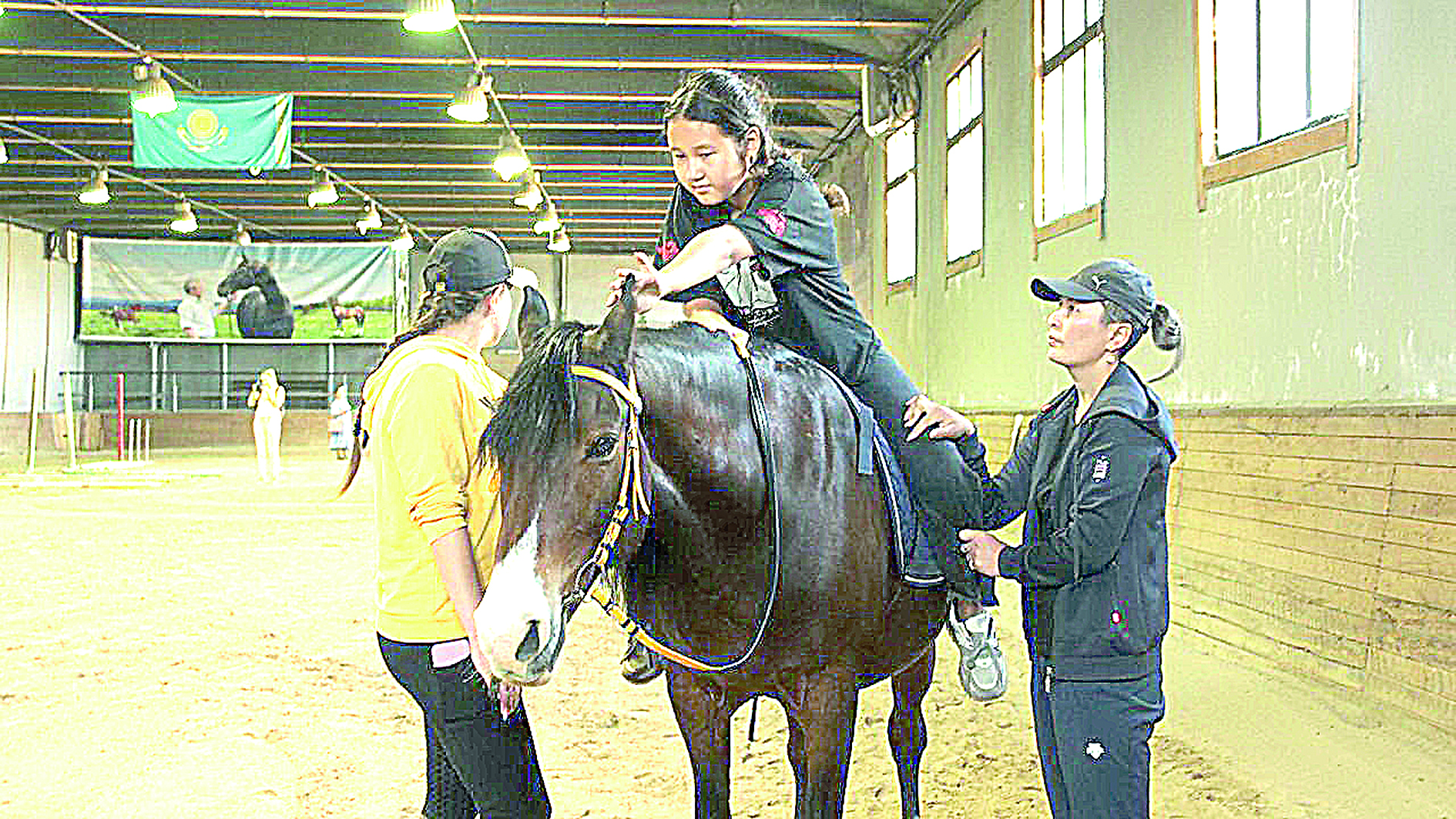 يپپوتەراپيا يگىلىگى