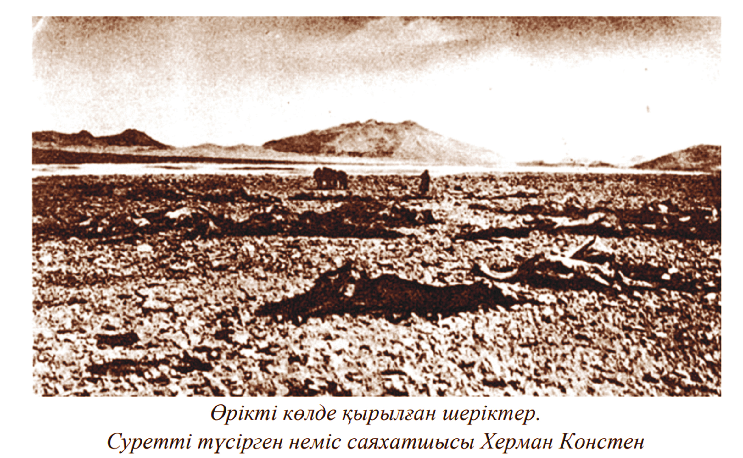 ورىكتى كول كوتەرىلىسى