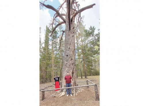 «ورمان باتىرى» تىلەگىڭدى ورىندايدى