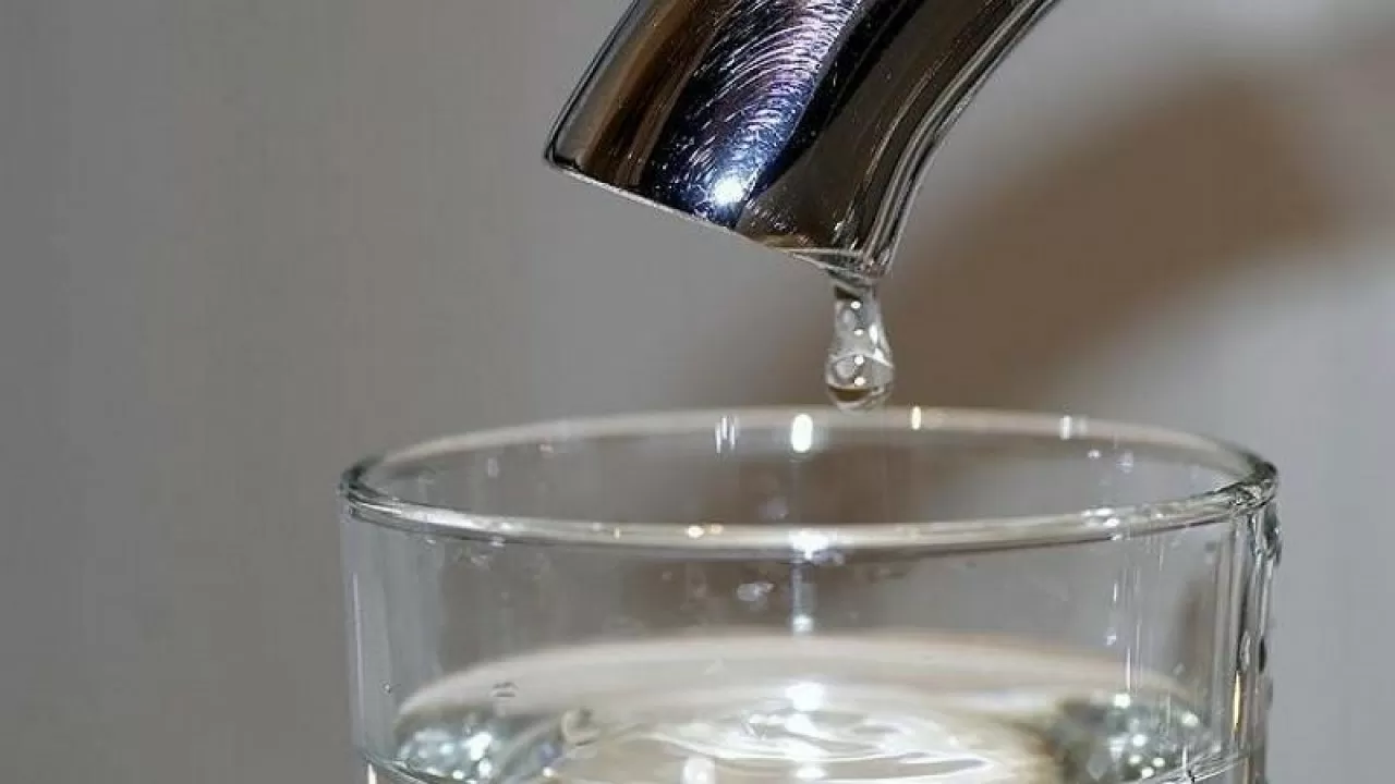 تامشىلاتىپ  سۋارۋ ءتيىمدى