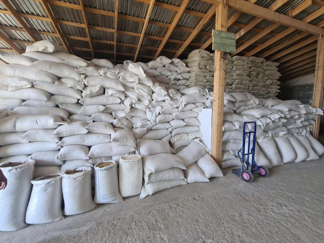 قۇراماجەم ءوندىرۋدى قولعا الدى