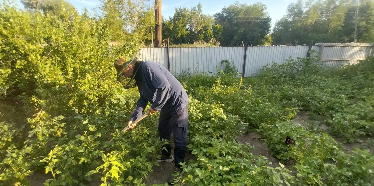 ماسا مازا بەرمەي تۇر