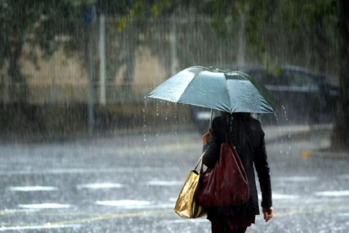 14 تامىزعا ارنالعان اۋا رايى بولجامى