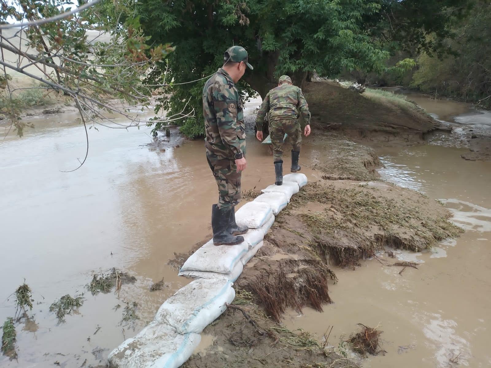 تابيعي اپات سالدارىمەن كۇرەس جالعاسىپ جاتىر