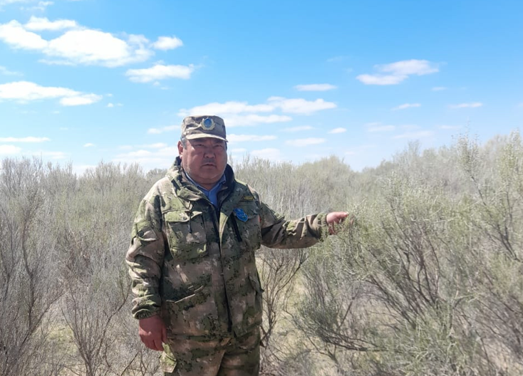 سەكسەۋىل كوبەيگەن جىل