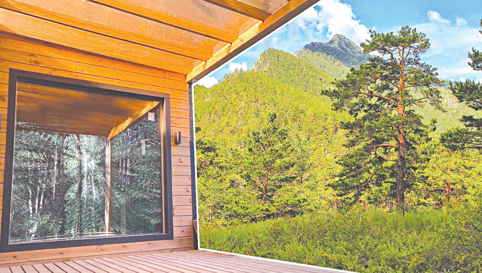 مەملەكەتكە قايتارىلعان ورمان