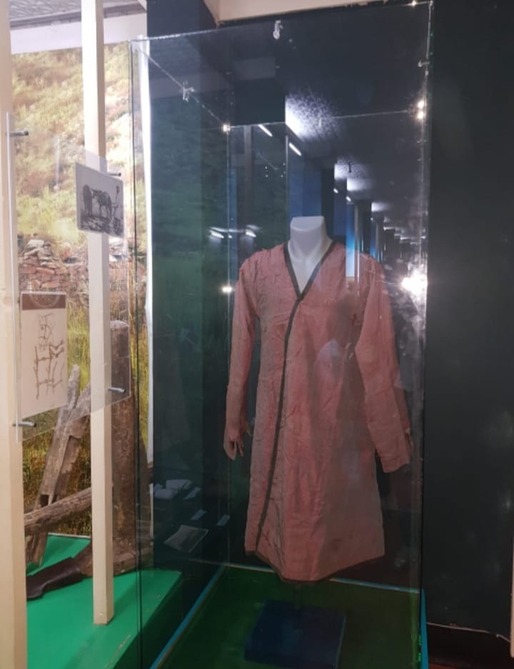 تانا مىرزانىڭ شاپانى