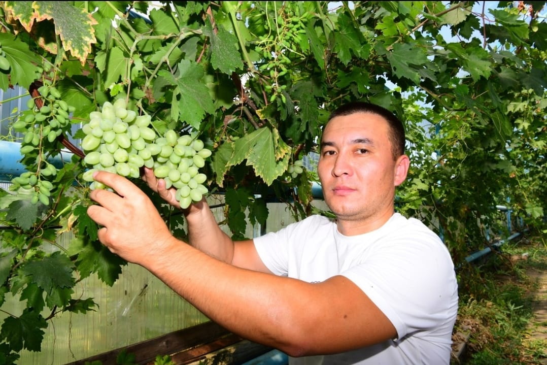 اۋىلدى تۇلەتەتىن نىق قادام