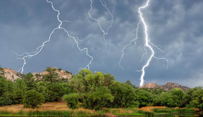 19 تامىزعا ارنالعان اۋا رايى بولجامى