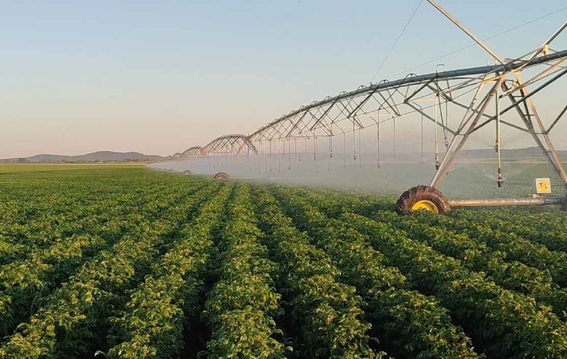 سۋارمالى ەگىستىڭ ريزىعى مول