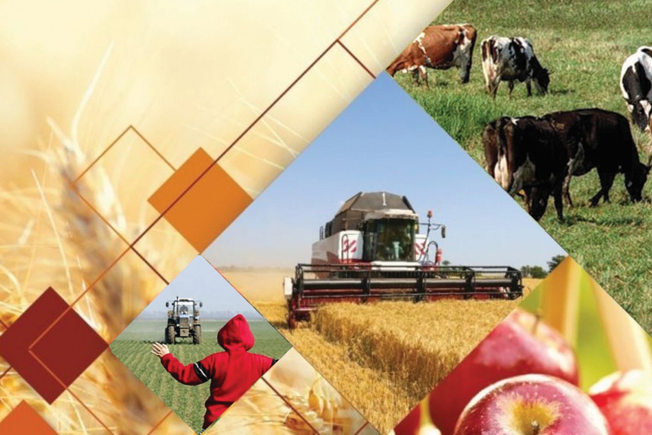 «اۋىل اماناتىنىڭ» يگىلىگى