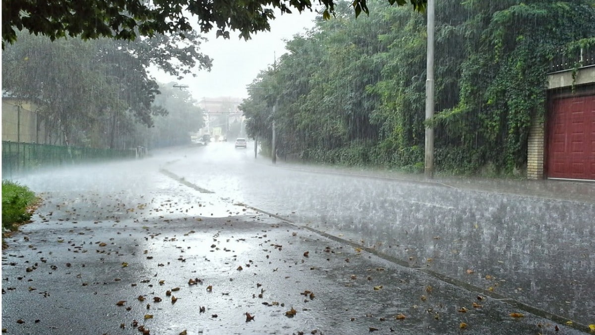 21 تامىزعا ارنالعان اۋا رايى بولجامى