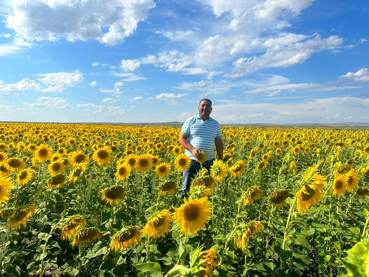 كۇنباعىس جايقالىپ تۇر