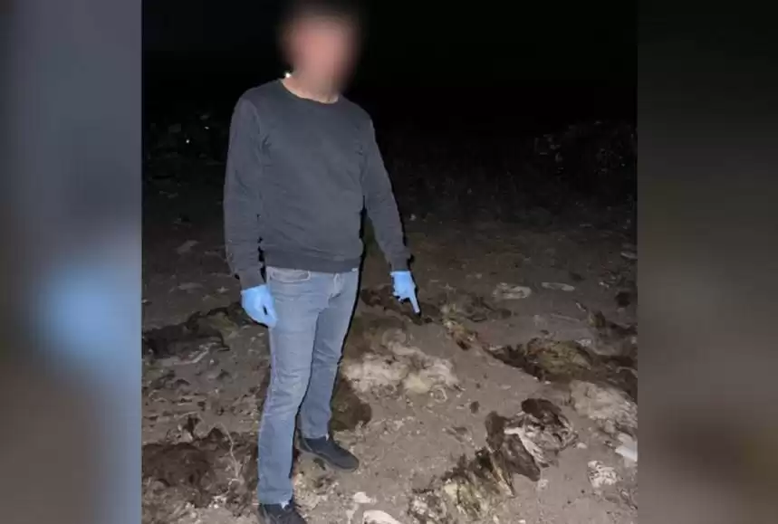 اقمولا وبلىسىندا تۋعان جيەنى كاسىپكەردىڭ 123 قويىن ۇرلاپ كەتكەن