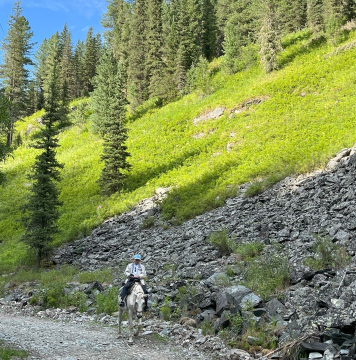 التايداعى التى كۇن