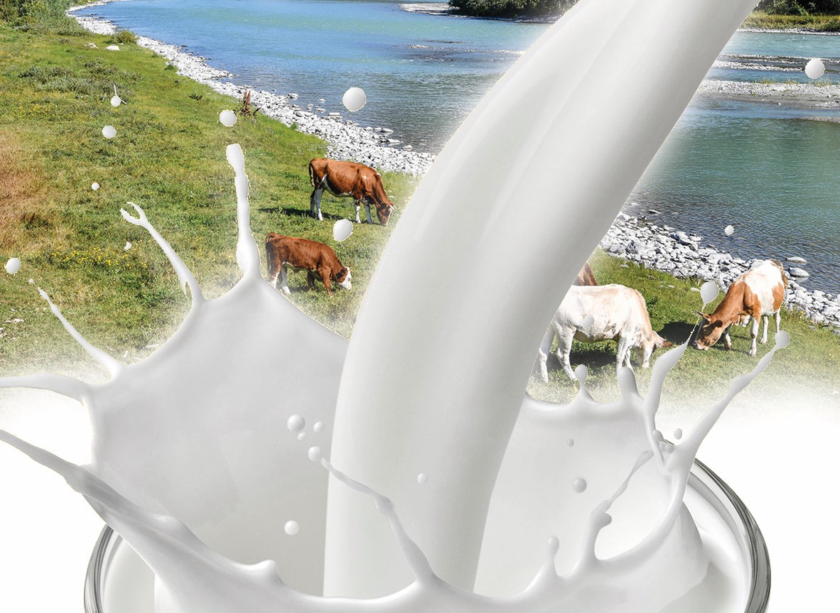 تاماق ونەركاسىبىن ينۆەستيتسيالاۋ ماڭىزدى