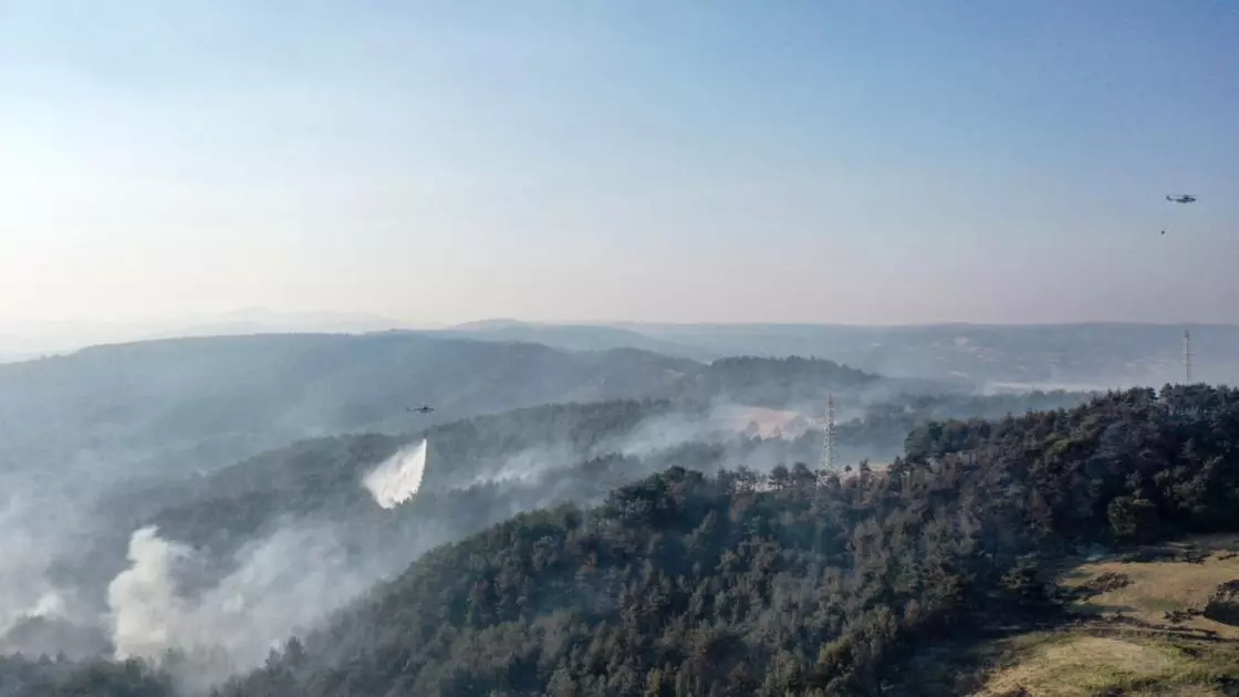 تۇركيادا ورمان ءورتى بىرنەشە اۋىلدى شارپىدى