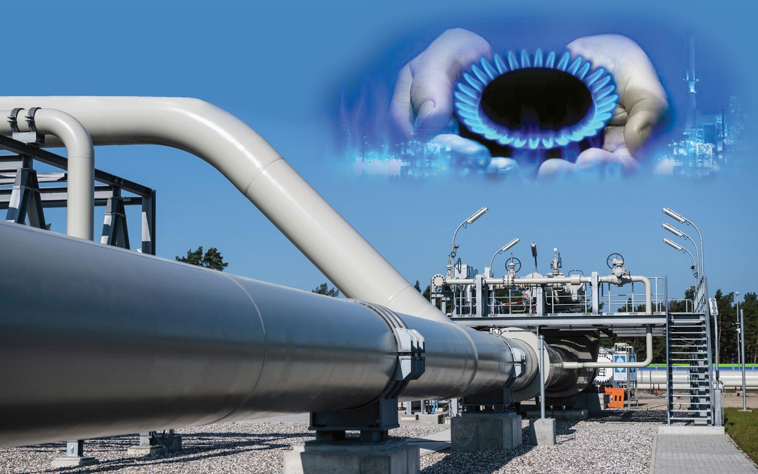 ماقسات – كوگىلدىر وتىن قورىن كادەگە جاراتۋ