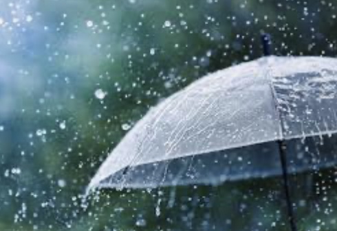 26 تامىزعا ارنالعان اۋا رايى بولجامى