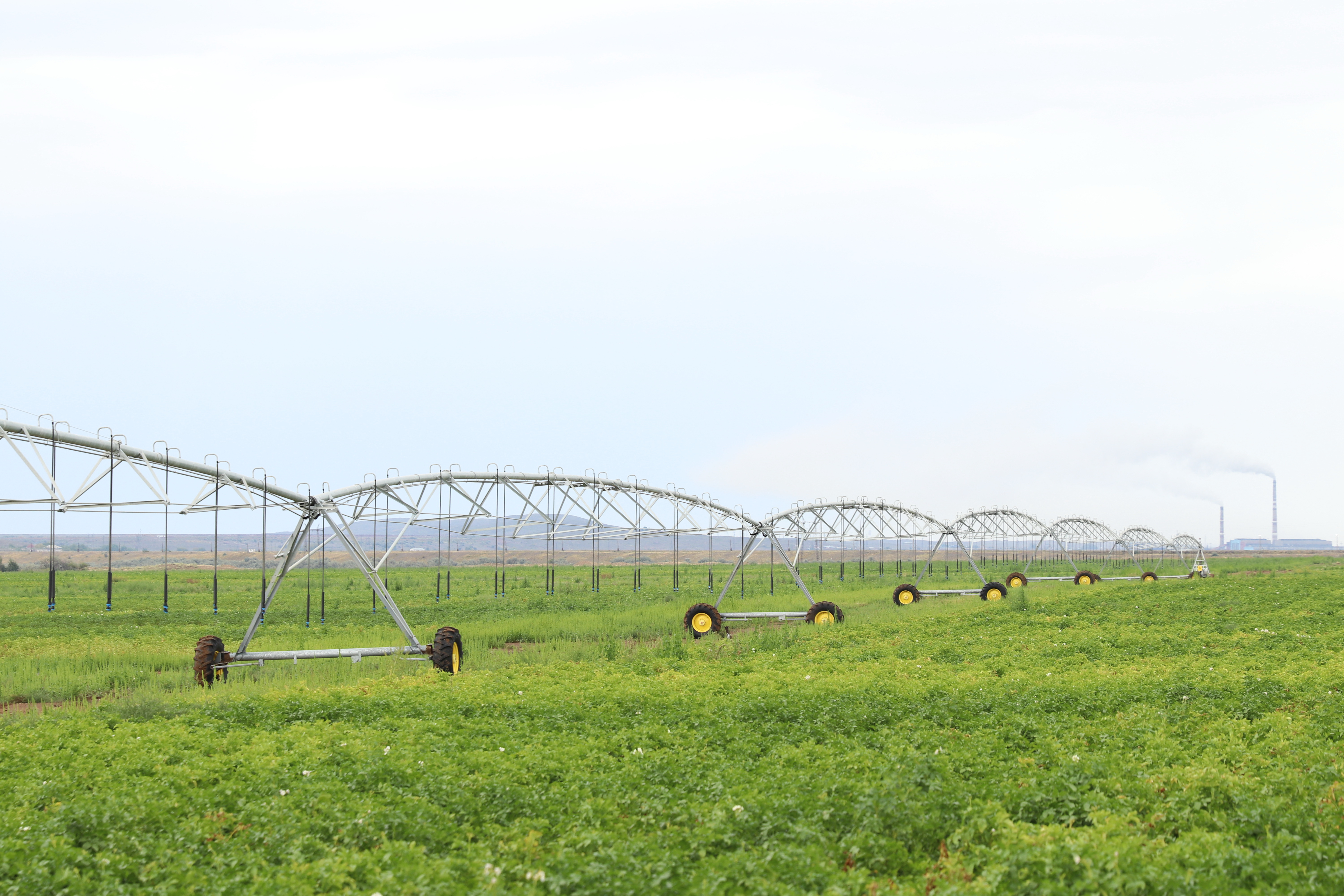 سۋارمالى القاپ كولەمى ۇلعايادى