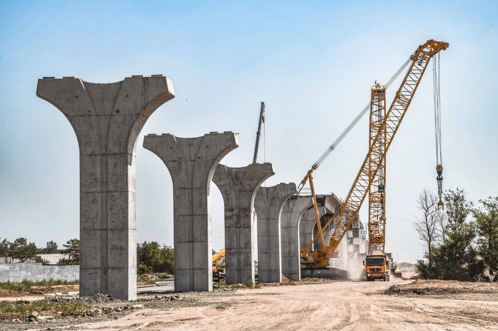 ەلورداداعى سىعاناق كوشەسى ۋاقىتشا جابىلادى