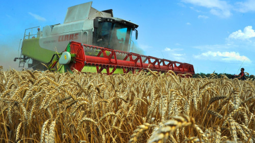 جيىن-تەرىمنىڭ جوسپارى قوماقتى