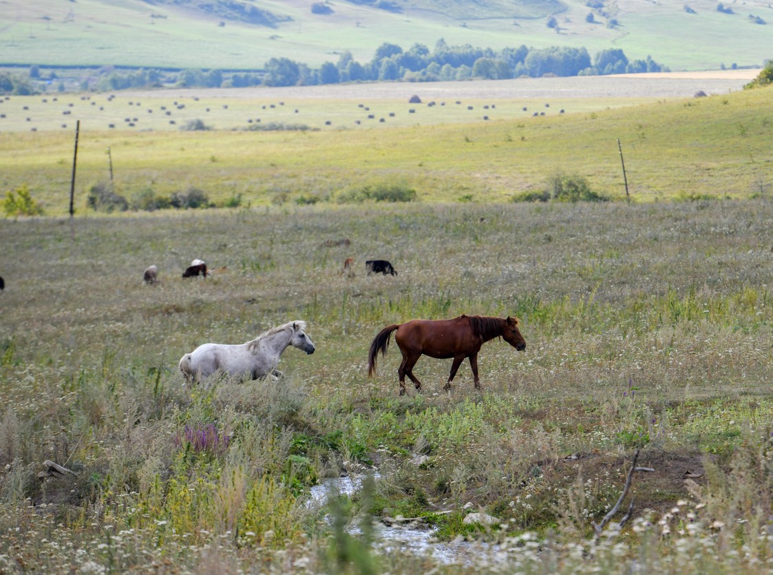 يەسىز جەر بولمايدى