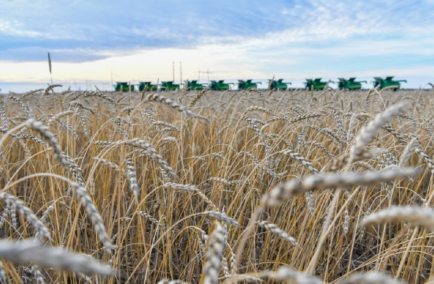 استىق ديپلوماتياسى: ۇپايىمىز تۇگەل مە؟