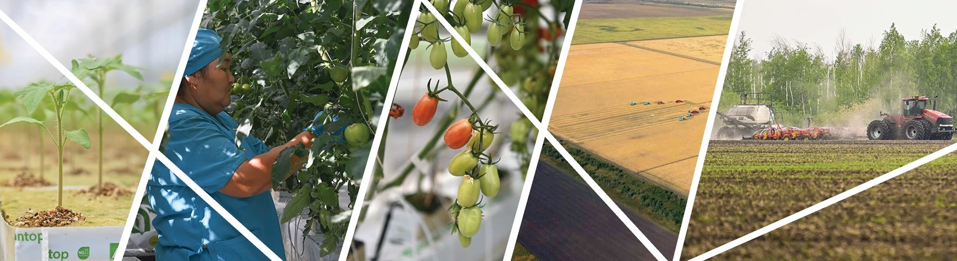 اگروعىلىم بيزنەستىڭ الەۋمەتتىك جۇكتەمەسىنە اينالسا...