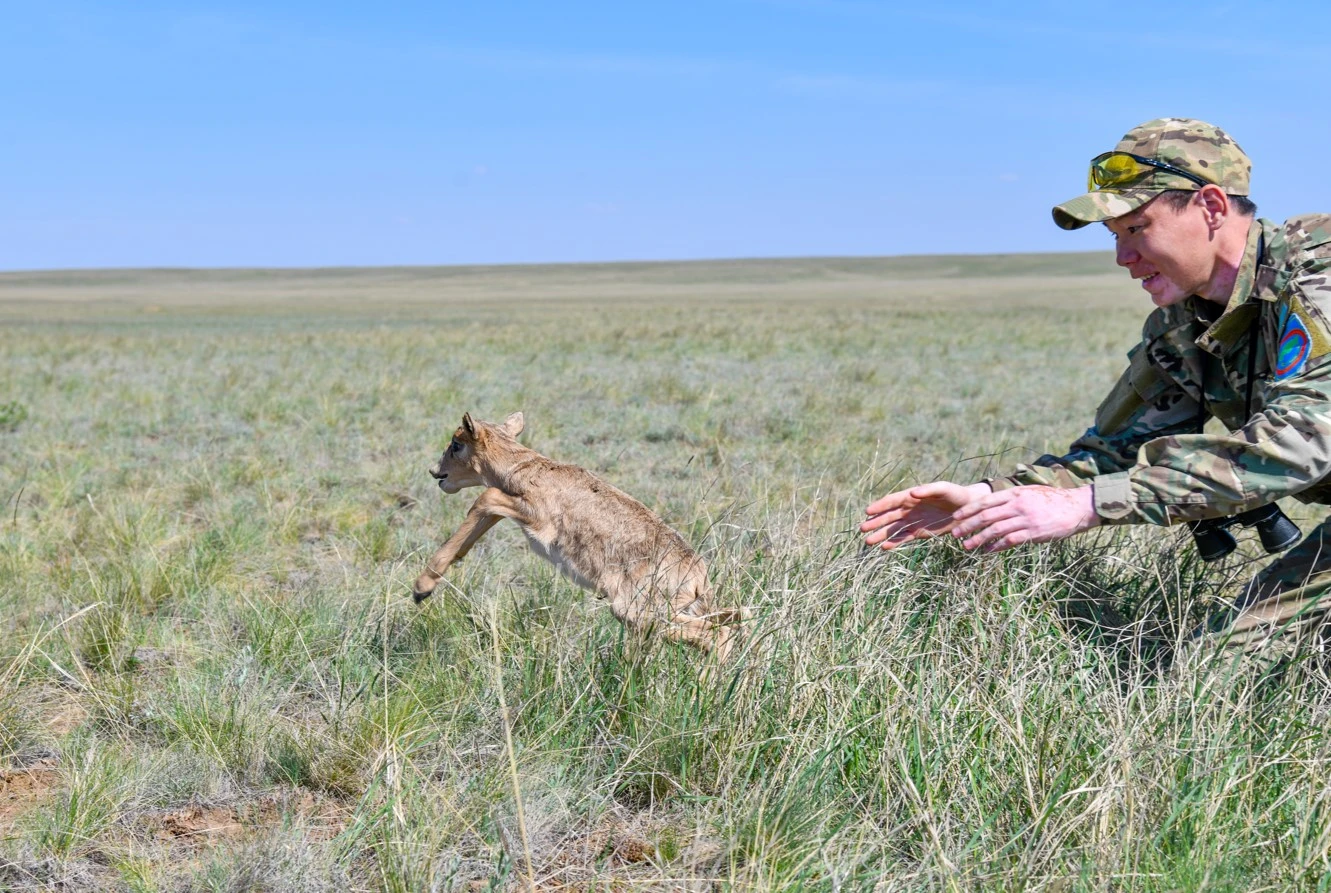 تاپتالعان ەگىنىمىزدىڭ سەبەپكەرى