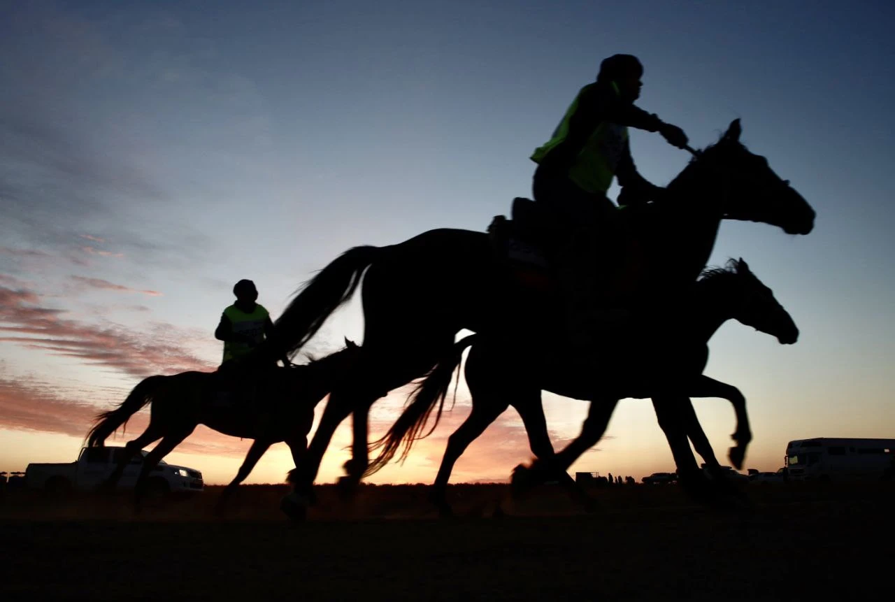 « ۇلى دالا جورىعى»: جامبىل وبلىسىنىڭ كومانداسى بايگەدەن  شىعىپ قالدى