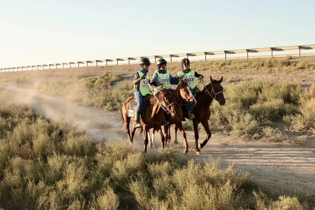 شاباندوزدار 1050 شاقىرىمدى باسىپ ءوتتى