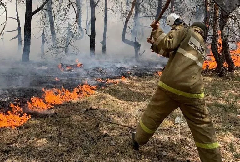 ورمان وتقا ورانباسىن دەڭىز...